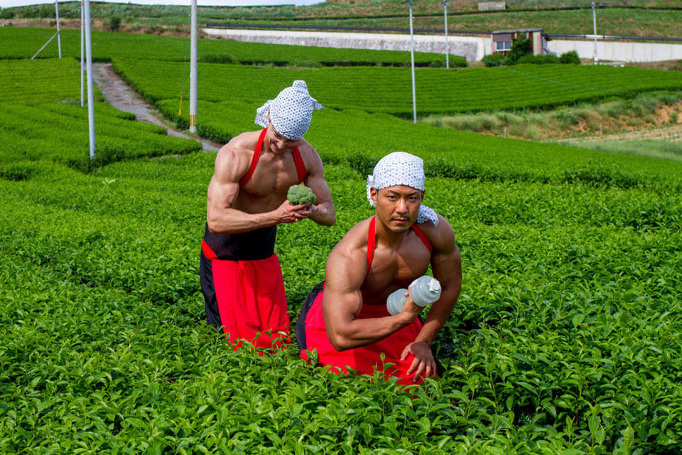 2021年8月「茶畑のマッチョ」入荷