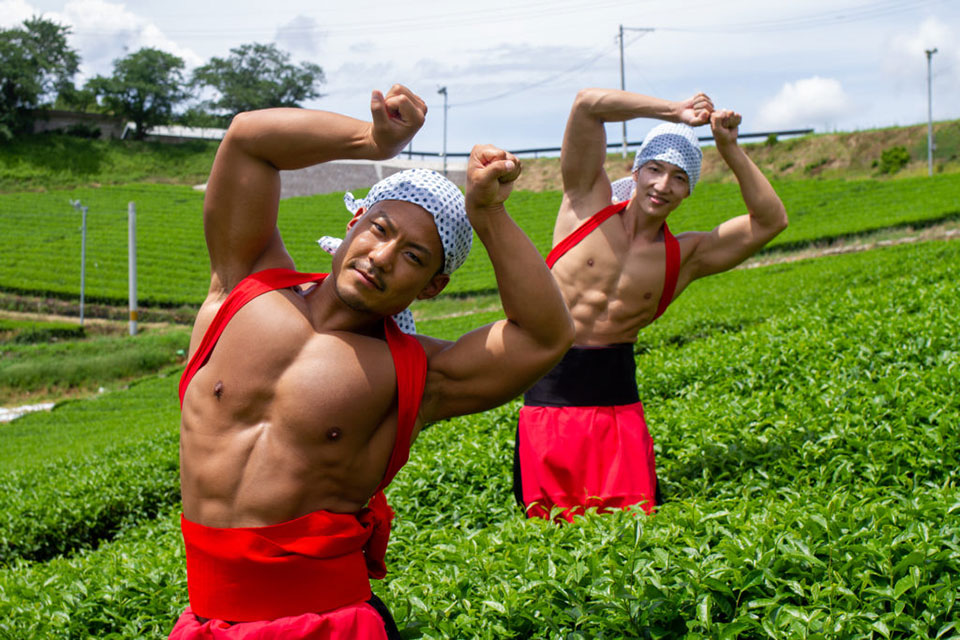2021年8月「茶畑のマッチョ」入荷